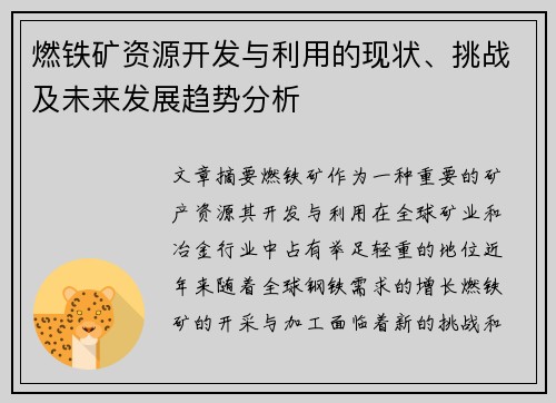 燃铁矿资源开发与利用的现状、挑战及未来发展趋势分析